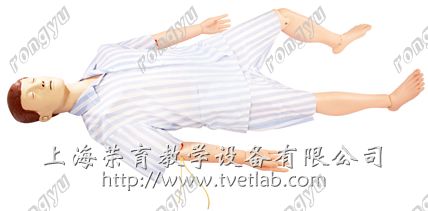TRY/BLS800型多功能急救護理訓(xùn)練模擬人